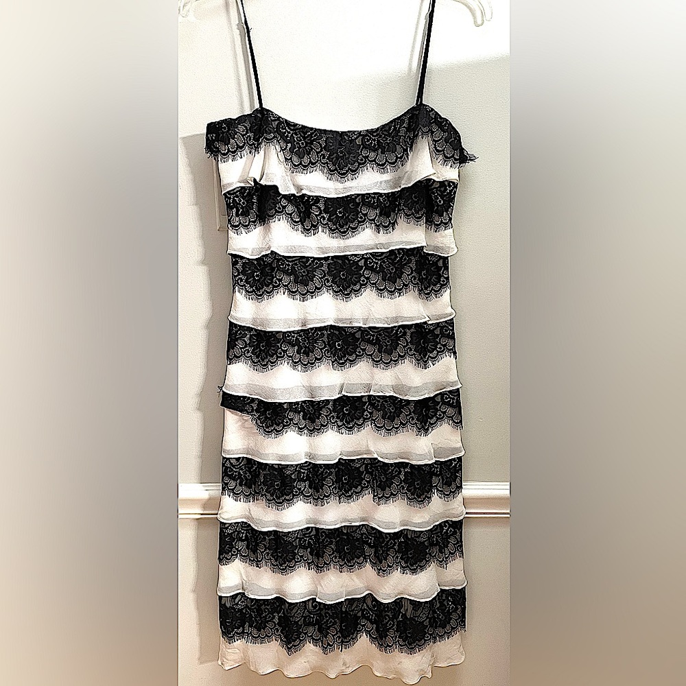 Designer Tadashi Dress, Silk/Lace Layered, spaghetti straps, excellent condition